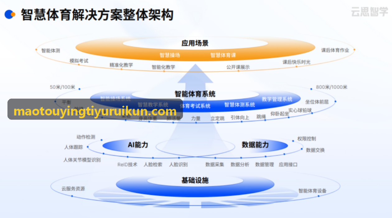 猫头鹰体育运动潮牌电商与衍生品团队